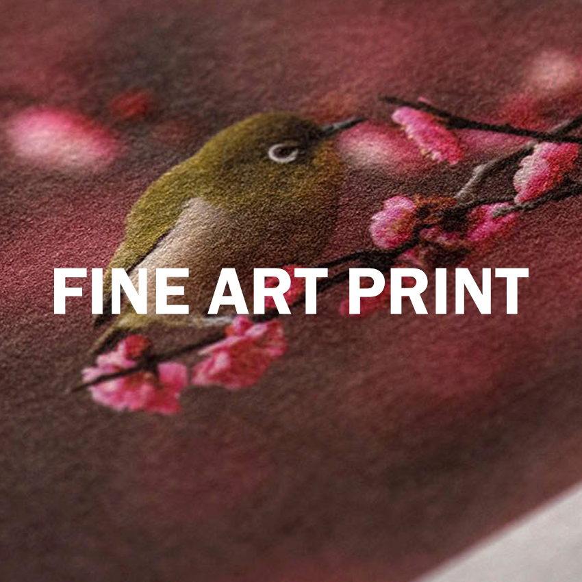 Fine Art Print