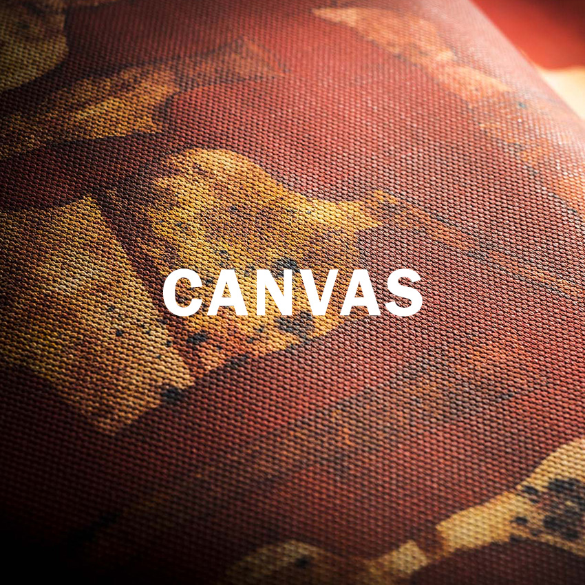 CANVAS PRINT